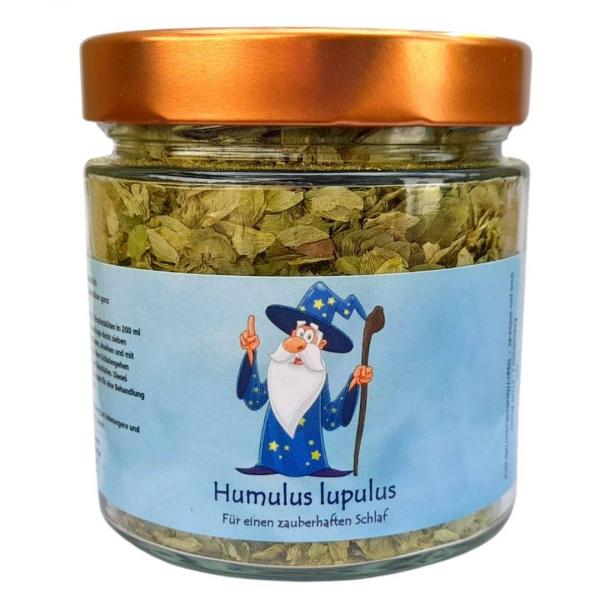 Hopfen | Humulus lupulus